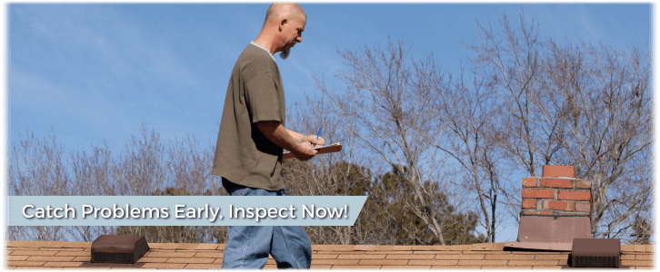 Chimney and Fireplace Inspection Salt Lake City